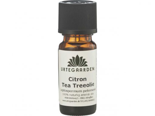 Citron tea tree olie æterisk olie fra Urtegaarden