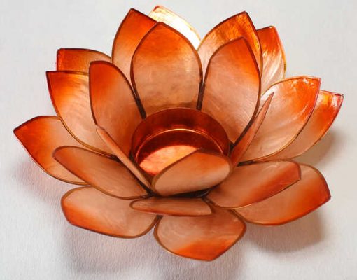 Lotus stage Chakra 2 Orange