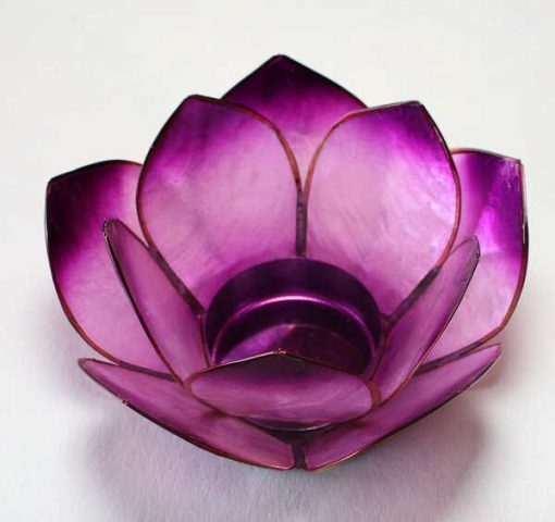 Lotus stag Lavender