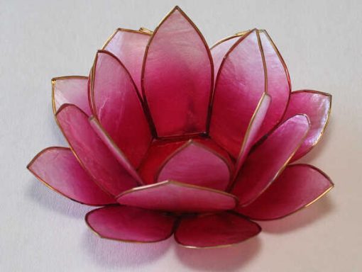 Lotus stage Pink
