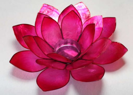 Lotus stage Pink Stor