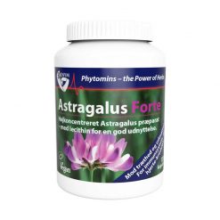 Astragalus Forte fra Biosym 120 stk.