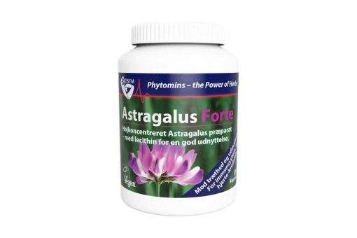 Astragalus Forte fra Biosym 120 stk.