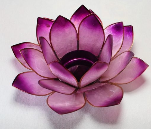Lotus stage violet chakra 6