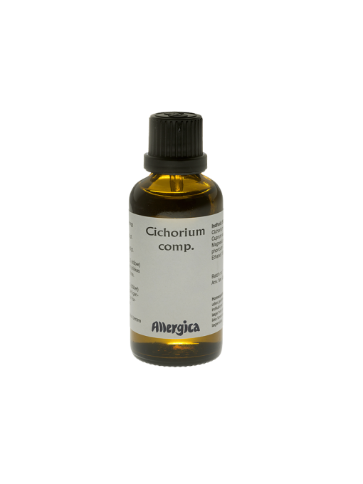 Cichorium comp.