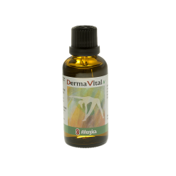 Derma Vital H