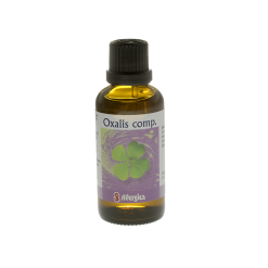 Oxalis comp.