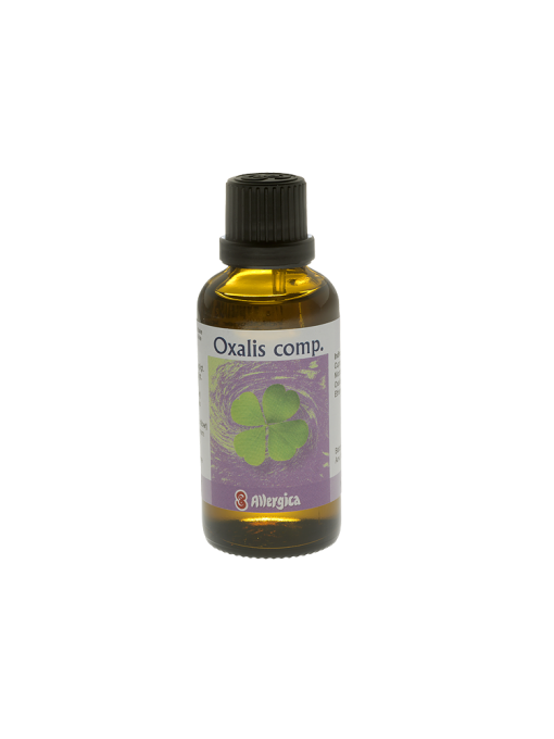 Oxalis comp.