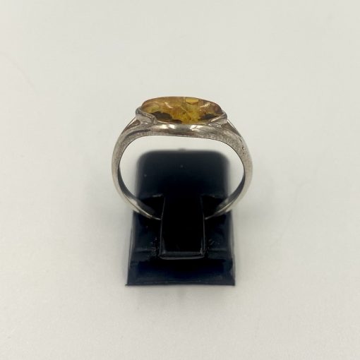 Rav ring øje